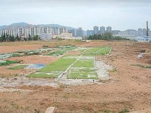 青岛寻租指南 探秘租金最低的土地与场地租赁洼地